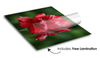 Load image into Gallery viewer, Adhesive Translucent Vinyl - Print Banners NYC
